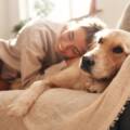 Understanding Your Options: Pet Cremation vs. Aquamation