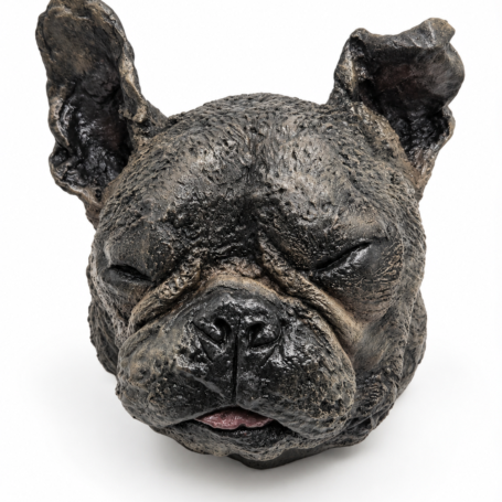 Pet Head Casting