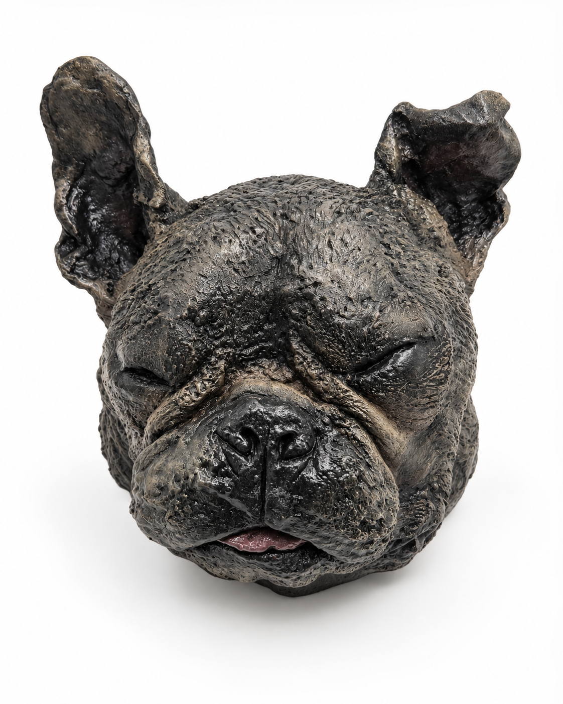 Pet Head Casting